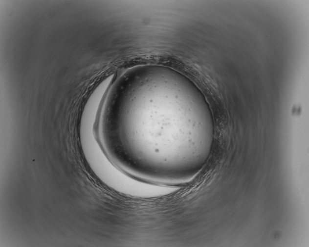 X0000100380769200806131059