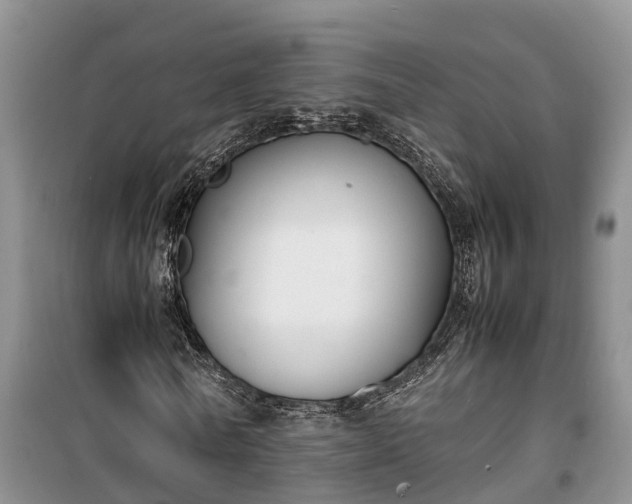 X0000100380770200806131059