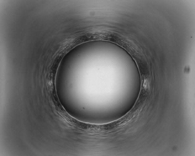 X0000100380771200806131059