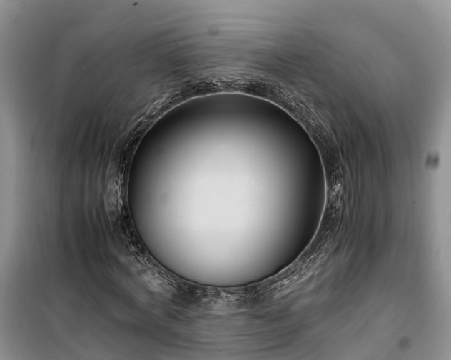 X0000100380772200806131059