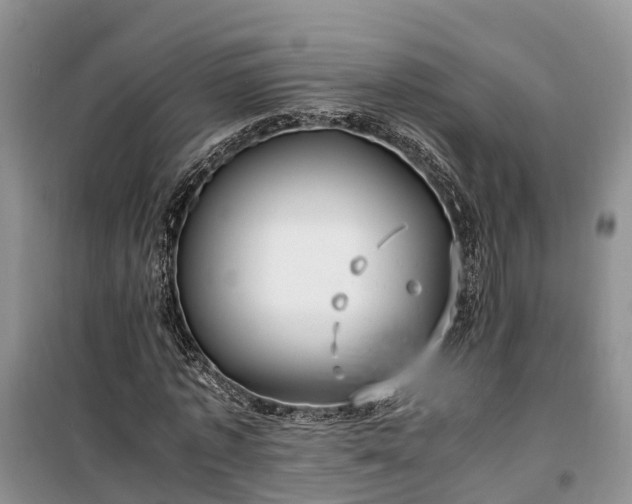 X0000100380773200806131059
