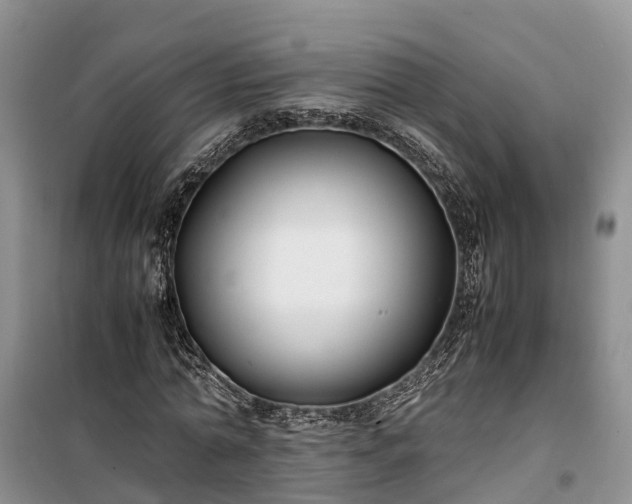 X0000100380774200806131059