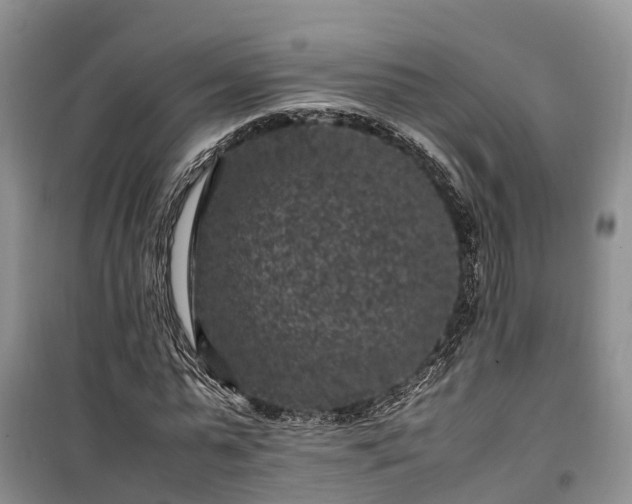 X0000100380775200806131058