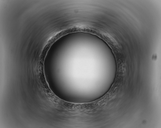 X0000100380776200806131058