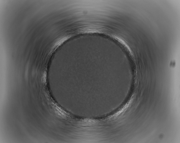 X0000100380777200806131058