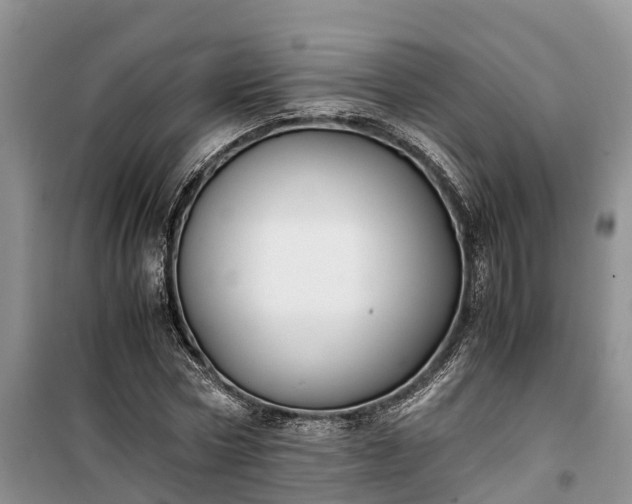 X0000100380778200806131058