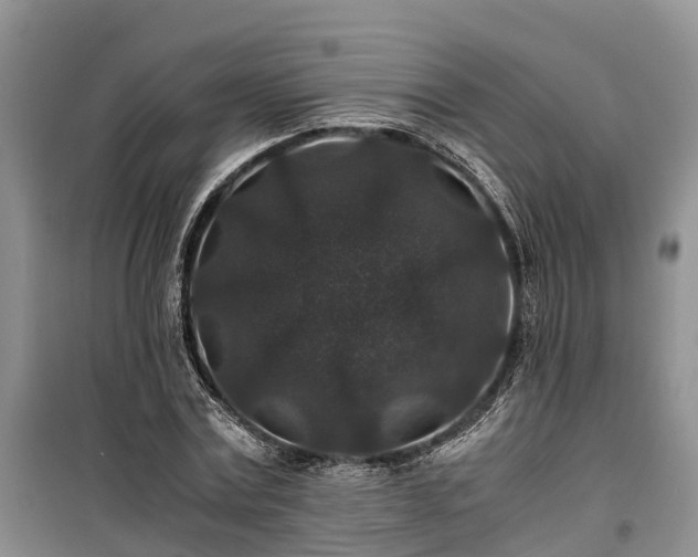 X0000100380779200806131058