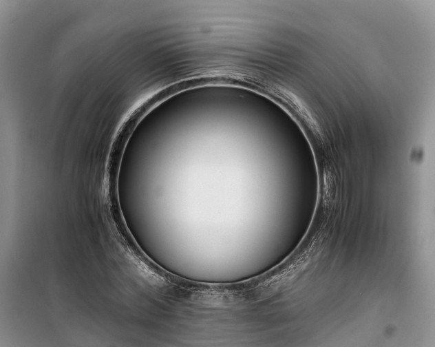 X0000100380780200806131058