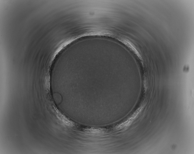X0000100380781200806131058