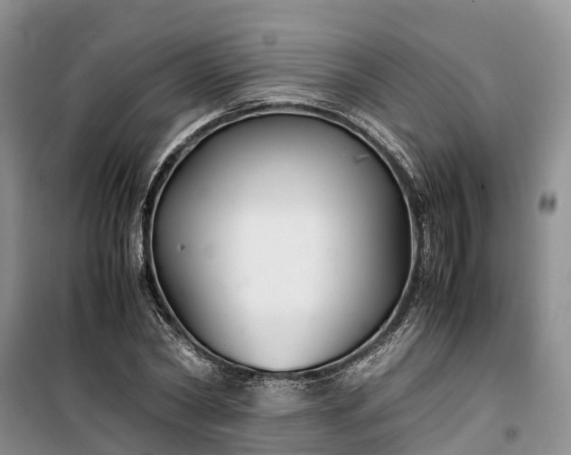 X0000100380782200806131058