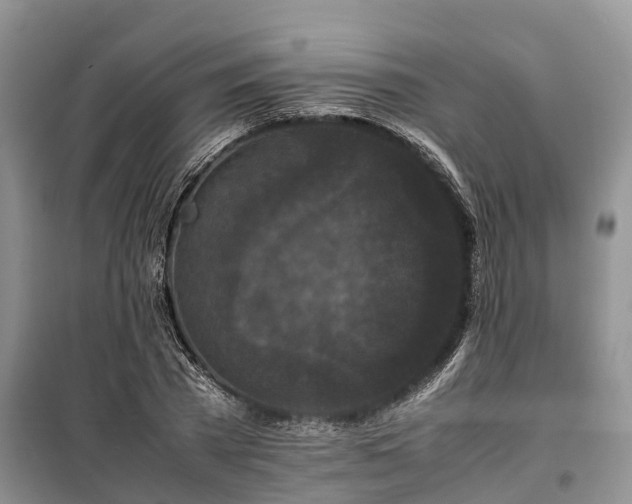 X0000100380785200806131058