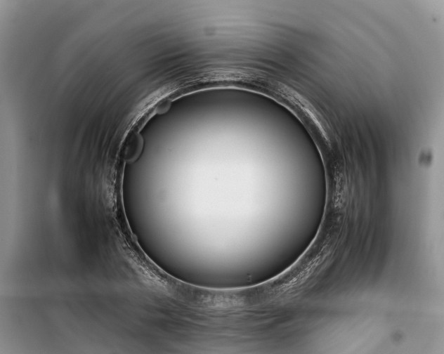 X0000100380786200806131058