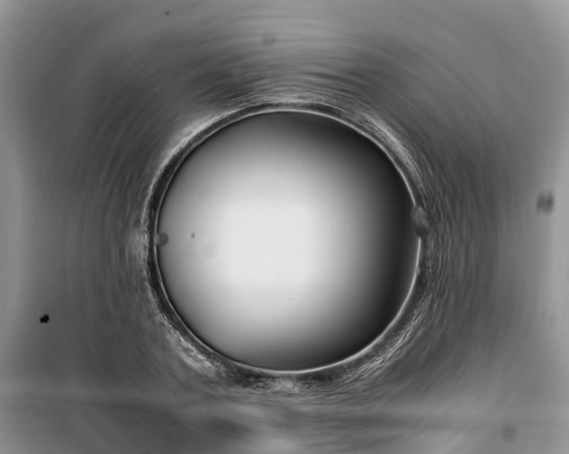 X0000100380787200806131058
