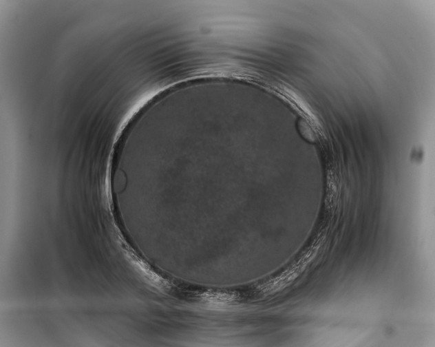 X0000100380788200806131058