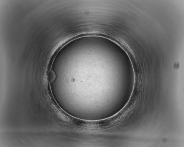 X0000100380789200806131058