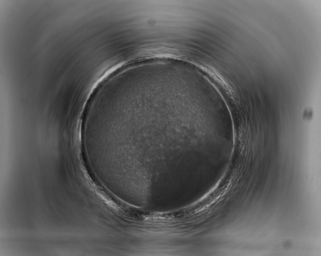 X0000100380790200806131058