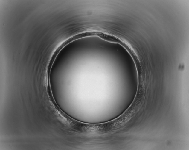 X0000100380791200806131058