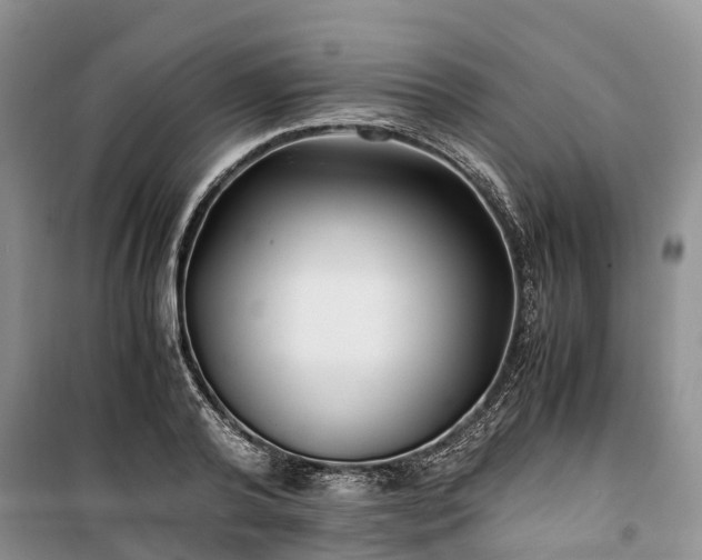 X0000100380792200806131058