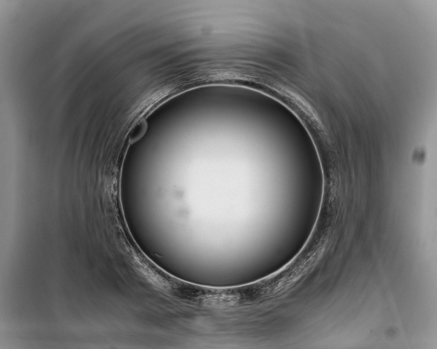 X0000100380793200806131058