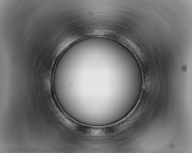 X0000100380794200806131058