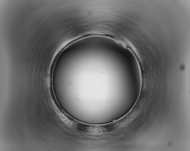 X0000100380795200806131058