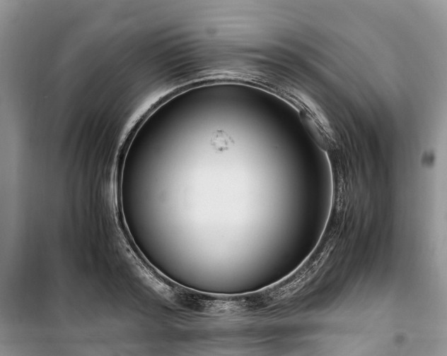 X0000100380796200806131058
