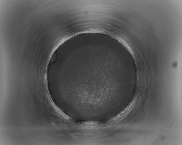 X0000100380797200806131058