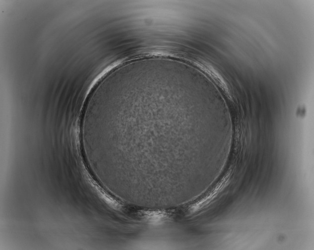 X0000100380798200806131058