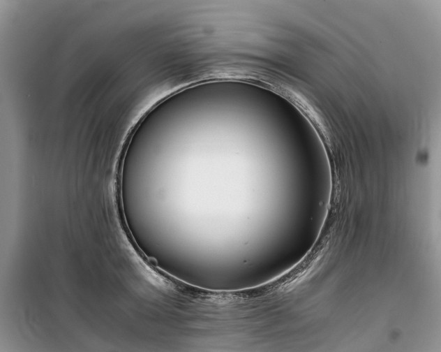 X0000100380803200806131058