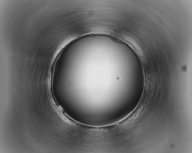 X0000100380804200806131058