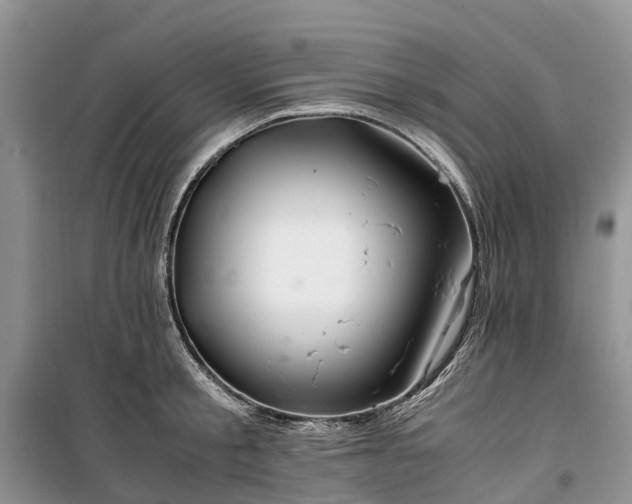 X0000100380805200806131058