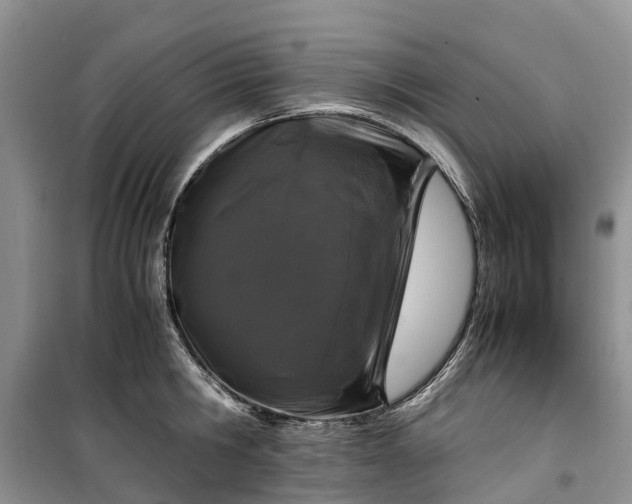 X0000100380806200806131058
