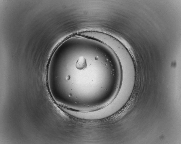 X0000100380807200806131058