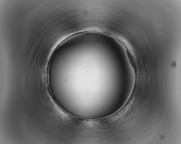 X0000100380808200806131058