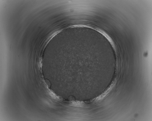 X0000100380809200806131058