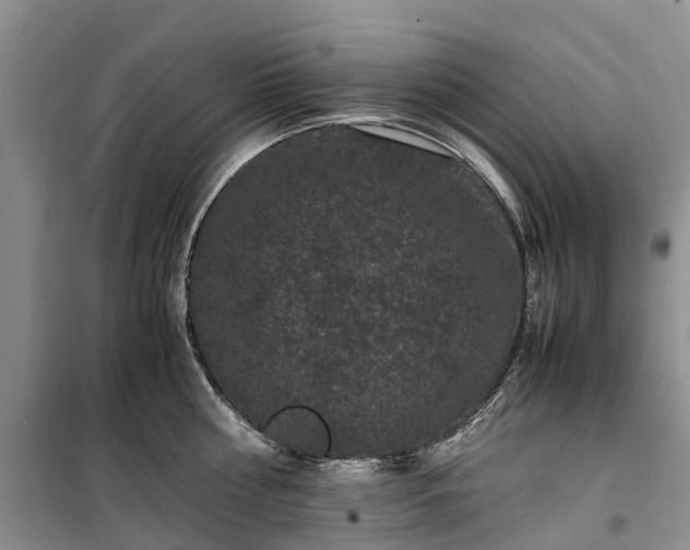 X0000100380810200806131058