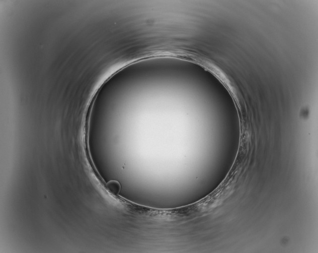 X0000100380811200806131058