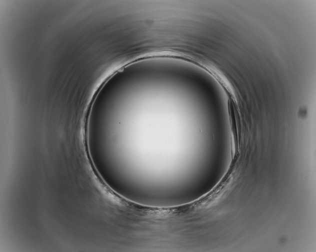 X0000100380813200806131058