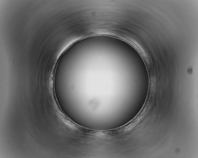 X0000100380814200806131058