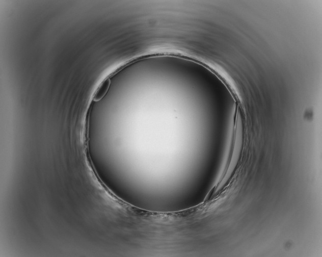 X0000100380815200806131058