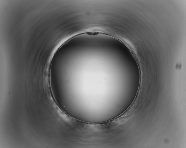 X0000100380816200806131058