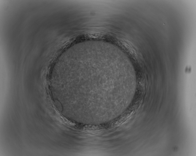 X0000100380817200806131057