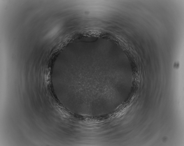 X0000100380818200806131057