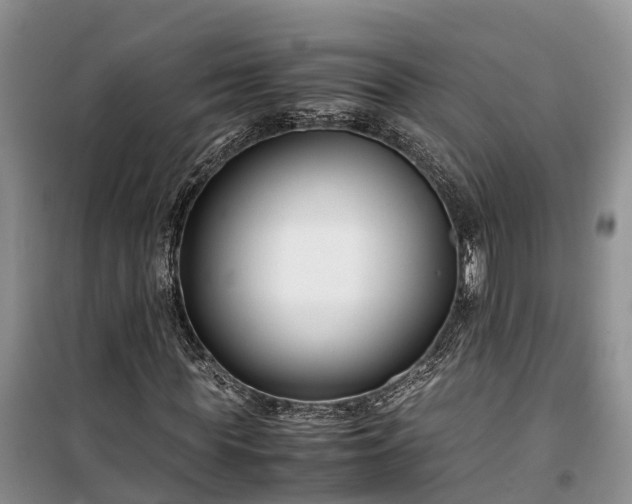 X0000100380819200806131057