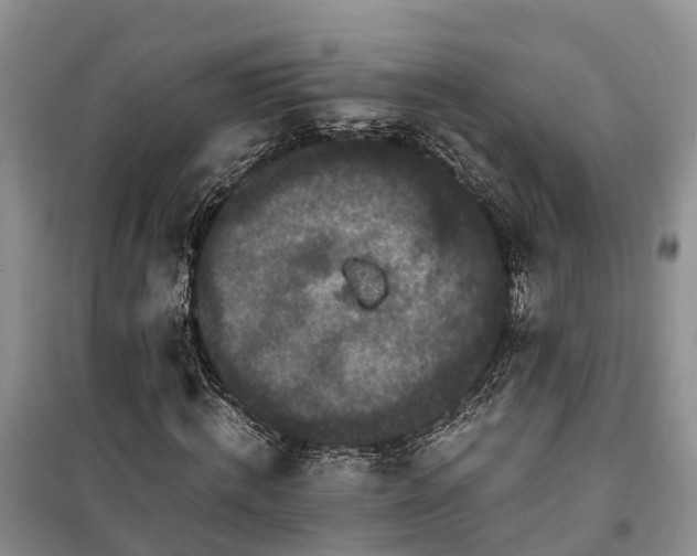X0000100380820200806131057