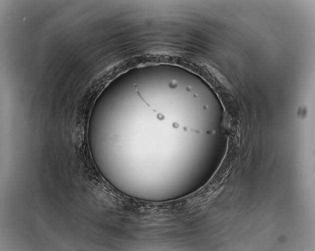 X0000100380821200806131057