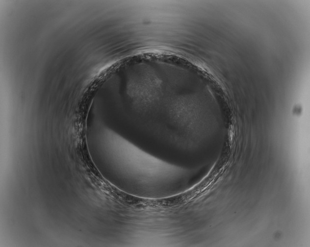X0000100380822200806131057