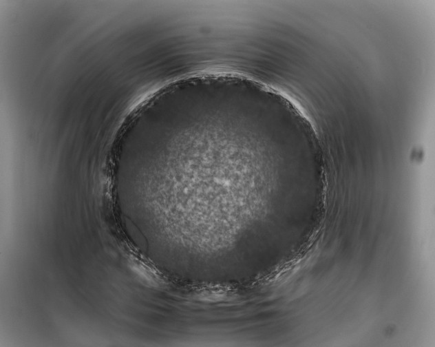 X0000100380823200806131057