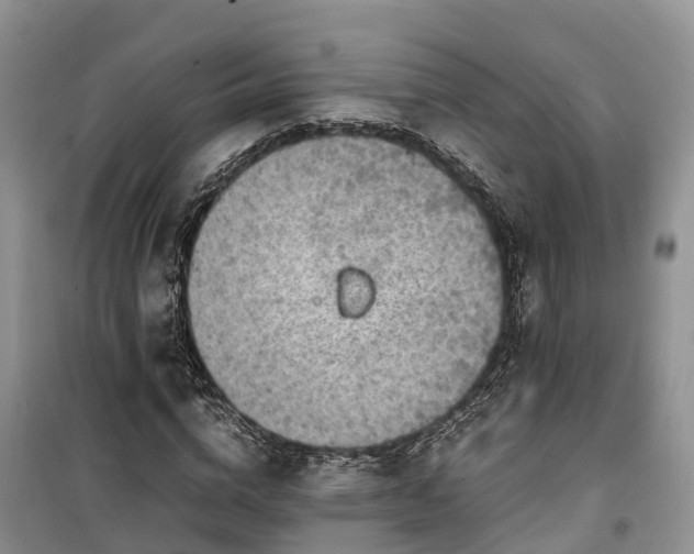 X0000100380824200806131057
