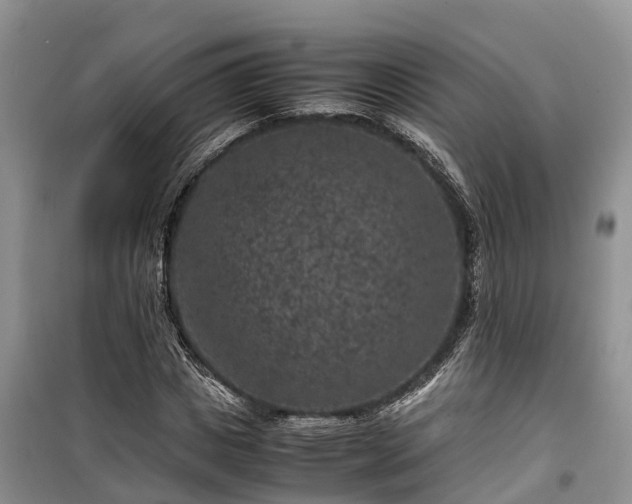X0000100380825200806131057